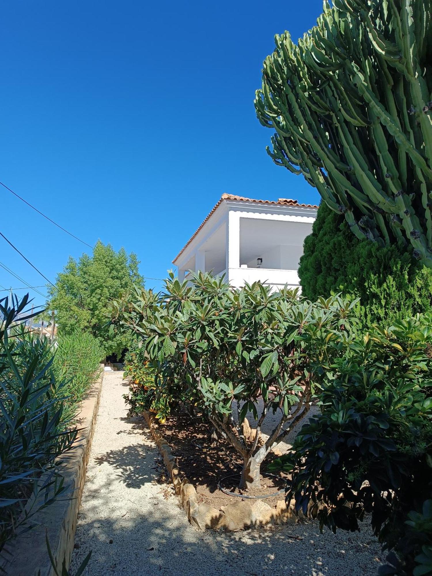 알비르 Casa La Siesta Albir B&B 외부 사진